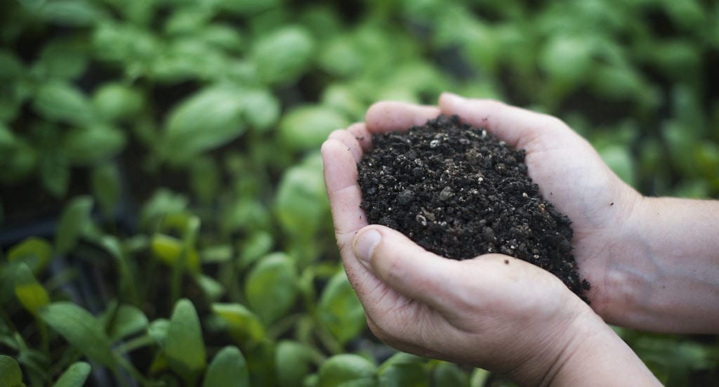 What does compostable mean?