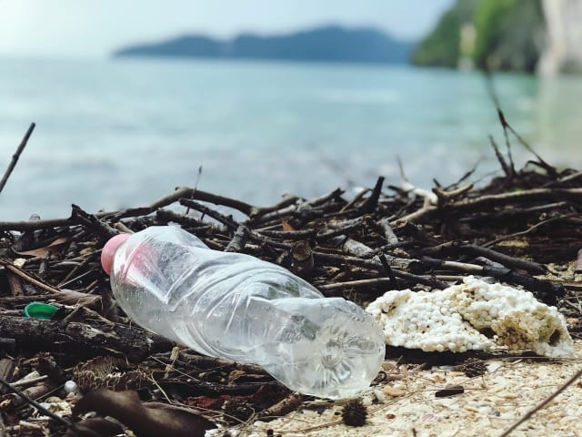 beach litter